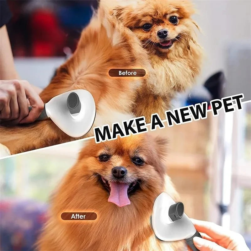 PopBrush
