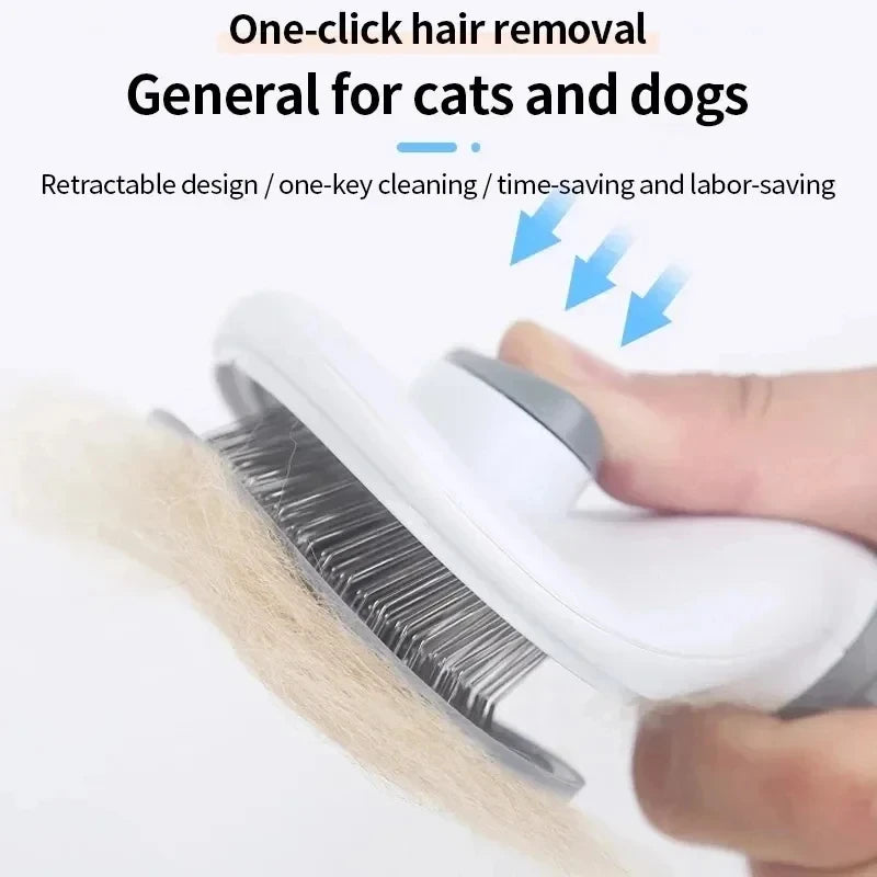 PopBrush